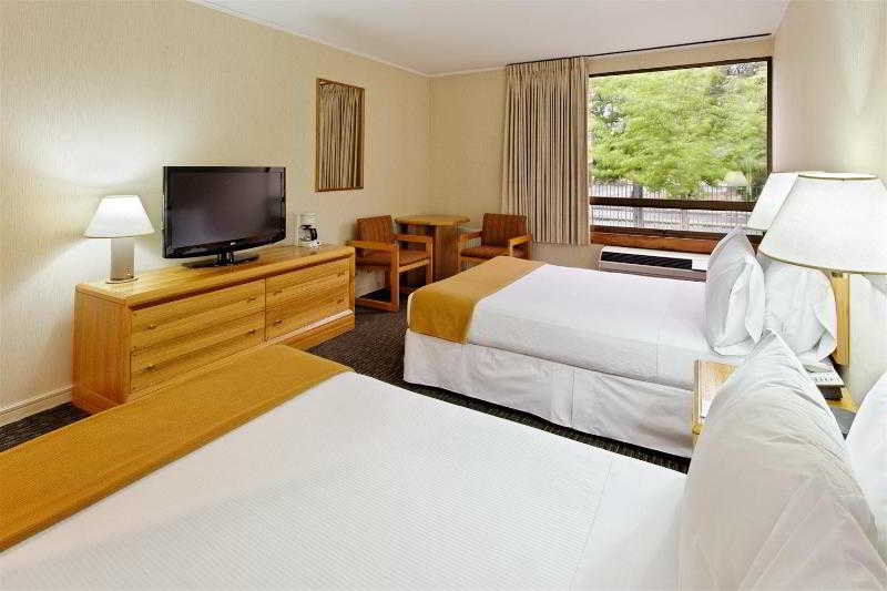 Holiday Inn Express - Temuco, An Ihg Hotel Room photo